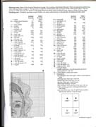 Schema punto croce 3 