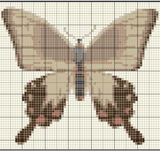 Schema punto croce 4