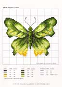 Schema punto croce Farfalla Verde