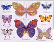Schema punto croce Farfalle 24