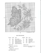 Schema punto croce Quadro Farfalle Fiori F