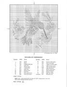 Schema punto croce Quadro Farfalle Fiori L