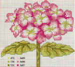 Schemi fiori indice 3