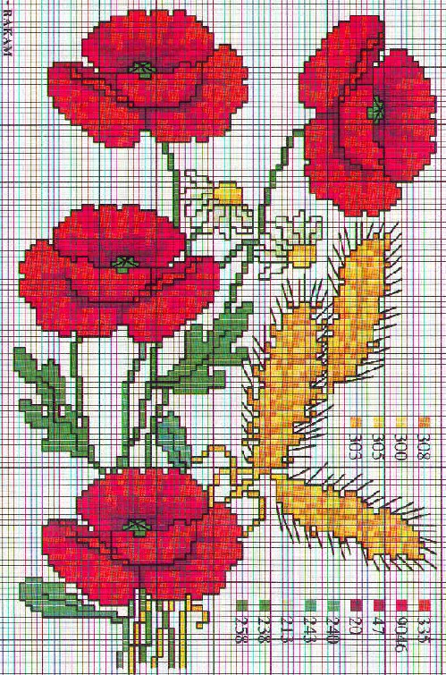 Schema punto croce Fiori Papaveri