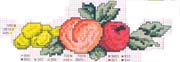 Schema frutta 16