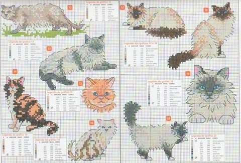 Schema punto croce Gatti Vari2