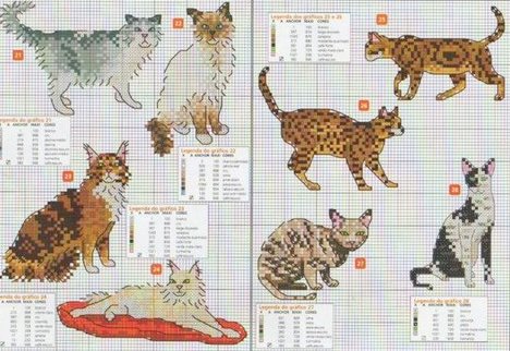 Schema punto croce Gatti Vari3