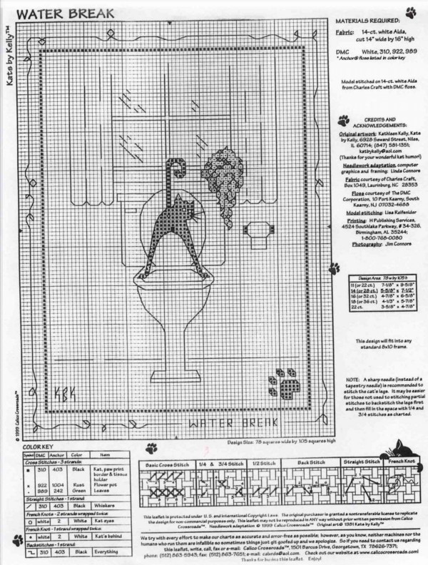 Schema punto croce Gatto Nero Bagno2