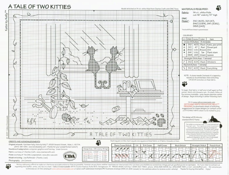 Schema punto croce Gatto Nero Finestra2