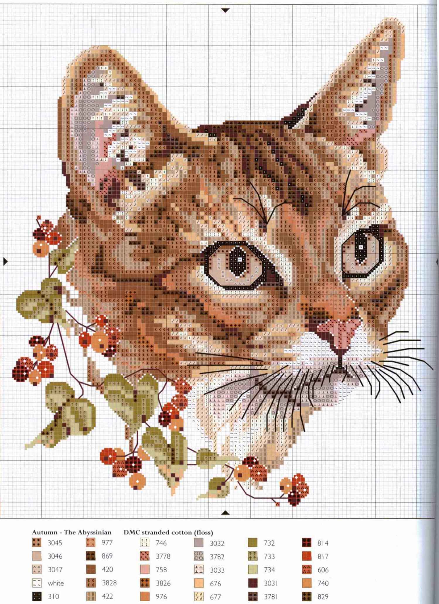 Schema punto croce Quattro Gatti3