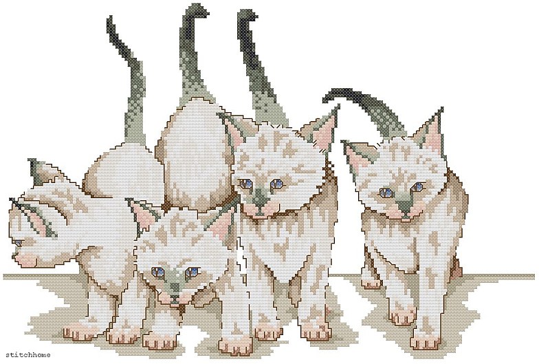 Schema punto croce Quattro Gatti Siamesi