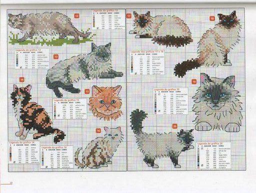 Schema punto croce Razze Di Gatti 2