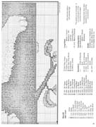 Schema punto croce Kitten Ramo 2