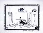 Schema punto croce Gatto Nero Carta1