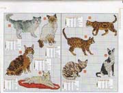 Schema punto croce Razze Di Gatti