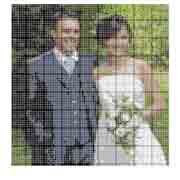 schema Coppia di sposi