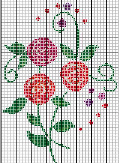 Schema 164 Immagini richieste