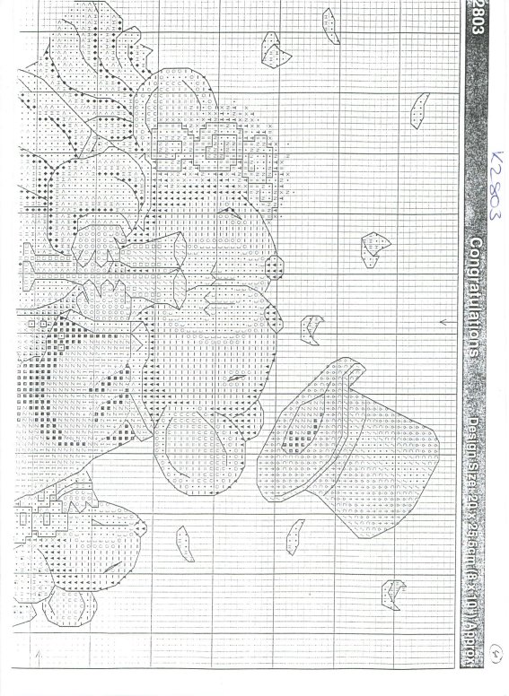 Schema punto croce Bacino 7