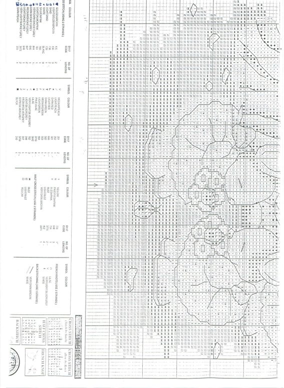 Schema punto croce Bacino 8