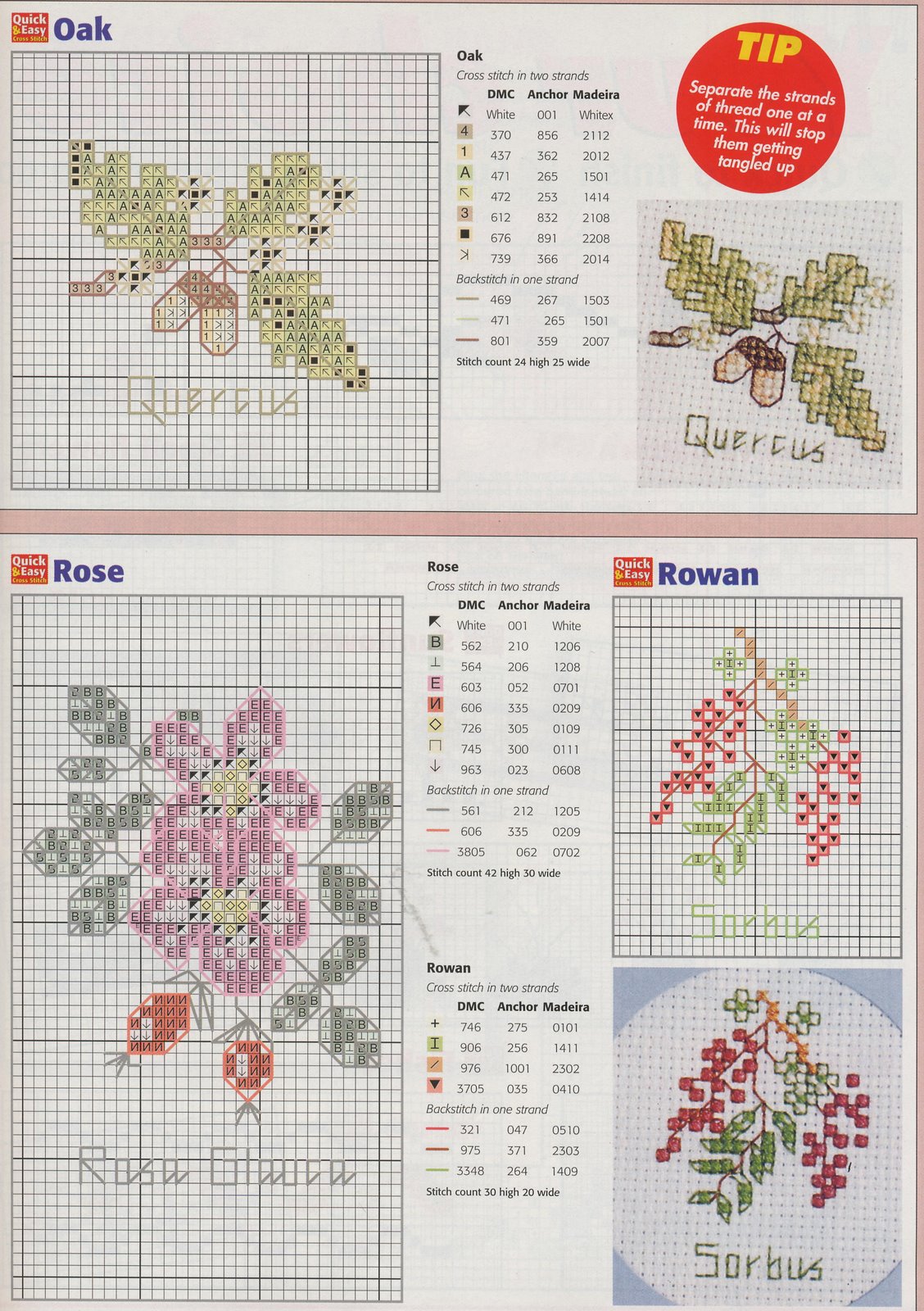 Schema punto croce Idee 448