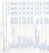 Schema punto croce La Pianista 08