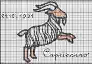 Schema punto croce Capricorno