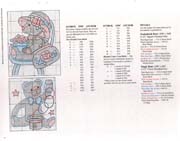 Schema punto croce A Bears World 3