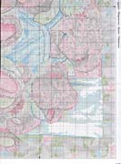 Schema punto croce Bears5