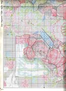 Schema punto croce Bears8