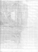 Schema punto croce Nursery Bears 20