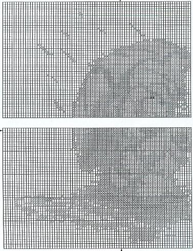 Schema punto croce Umbrella 10