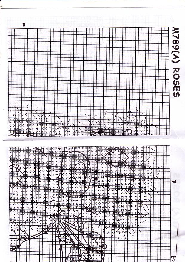 Schema punto croce Teddy Rose Rosse 2