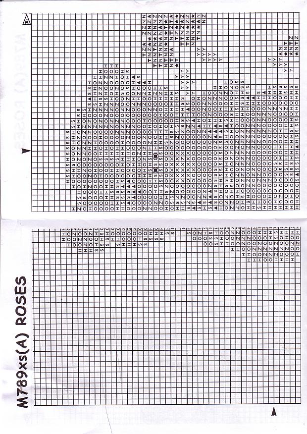 Schema punto croce Teddy Rose Rosse 8