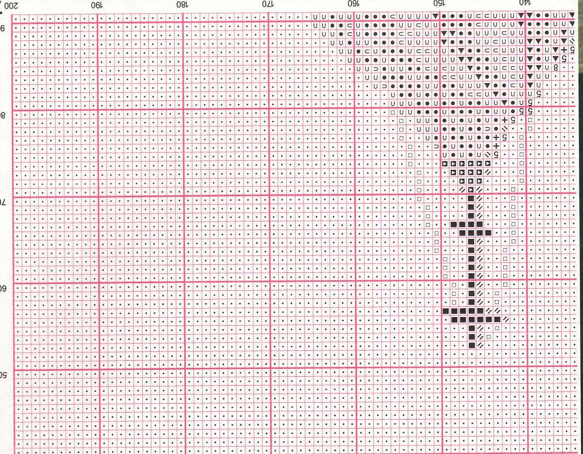 Schema punto croce Basilica Cattedrale Beato 13