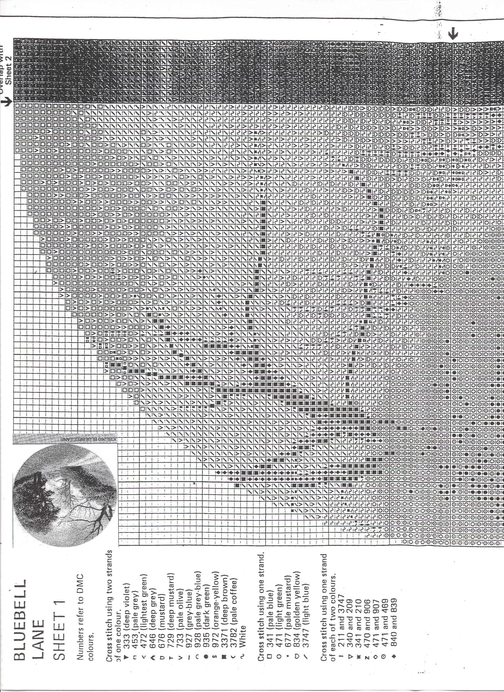 Schema punto croce Bluebell Lane 02