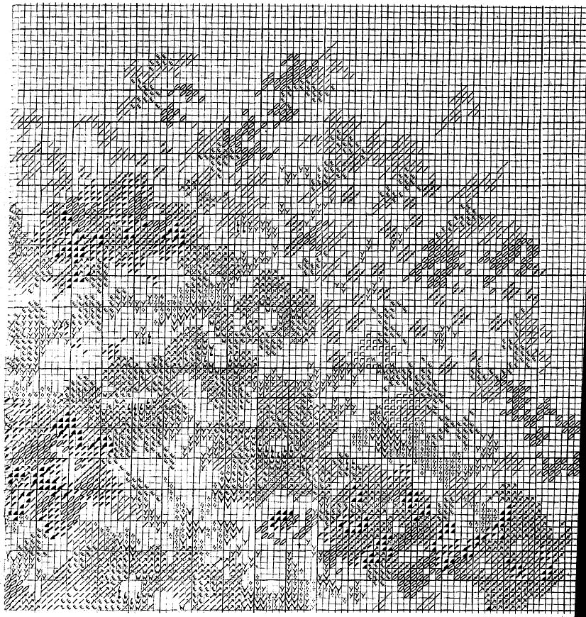 Schema punto croce Cappelli 05