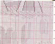 Schema punto croce Basilica Cattedrale Beato 11