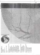 Schema punto croce Bluebell Lane 02