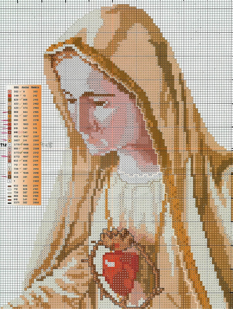 Schema punto croce Fatima 24