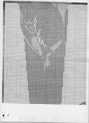 Schema punto croce Cristo De Dali 06