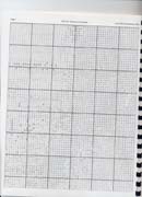 Schema punto croce Madonna Delle Rose 02