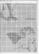 Schema punto croce Madonna Sistina 15