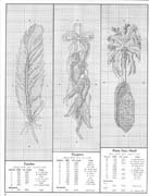 Schema punto croce Segnalibri Piume