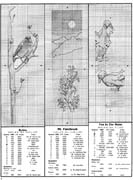 Schema punto croce Segnalibri Uccelli