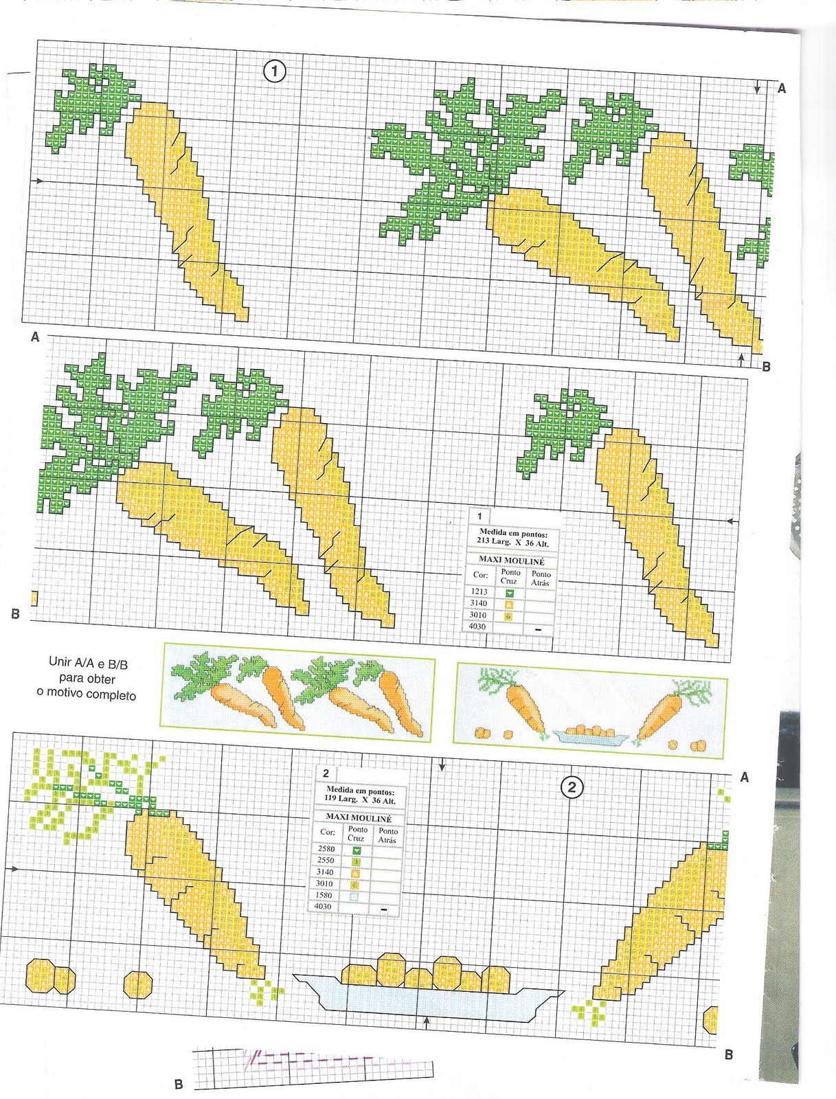 Schema punto croce Carotine