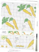 Schema punto croce Carotine