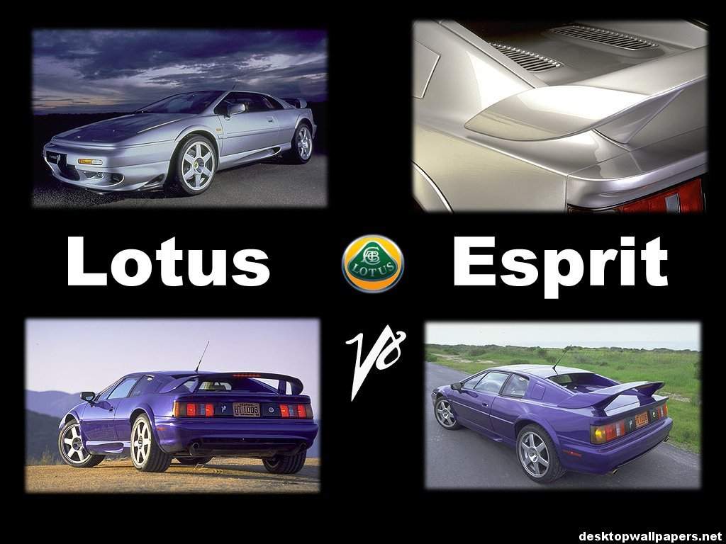 Lotus
