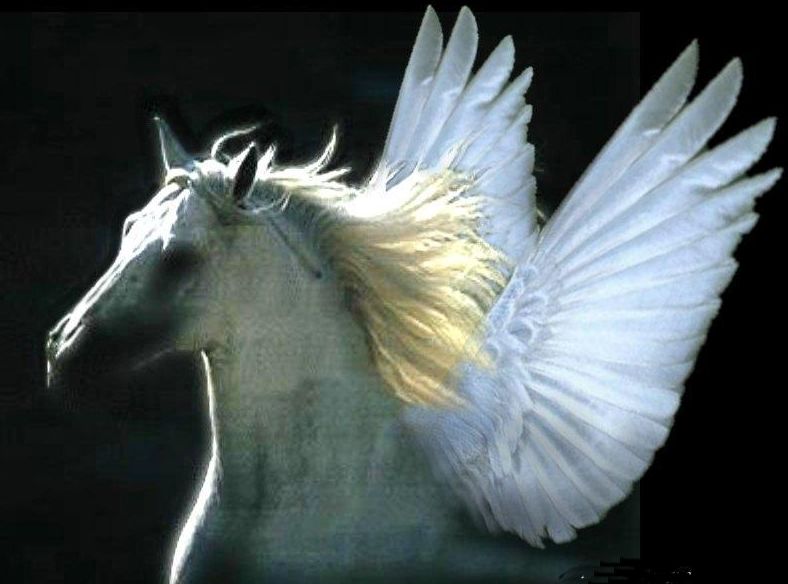 Pegaso