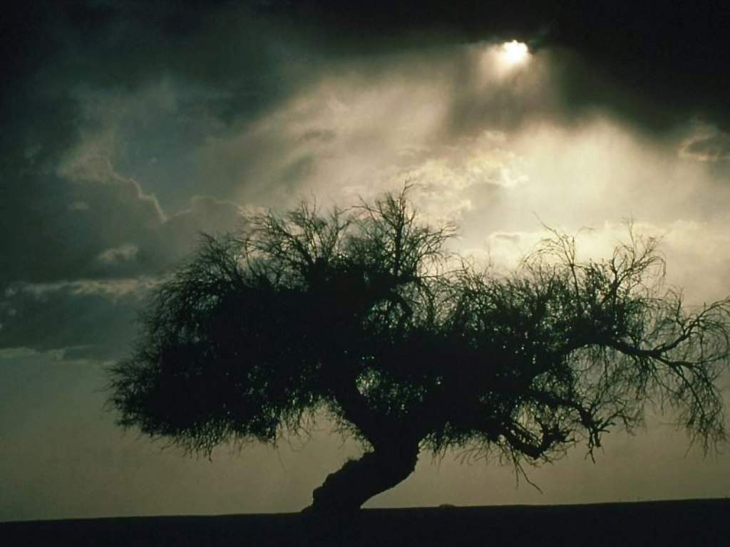 Fenomeni Atmosferici