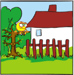 Smile 2965 categoria Emozioni